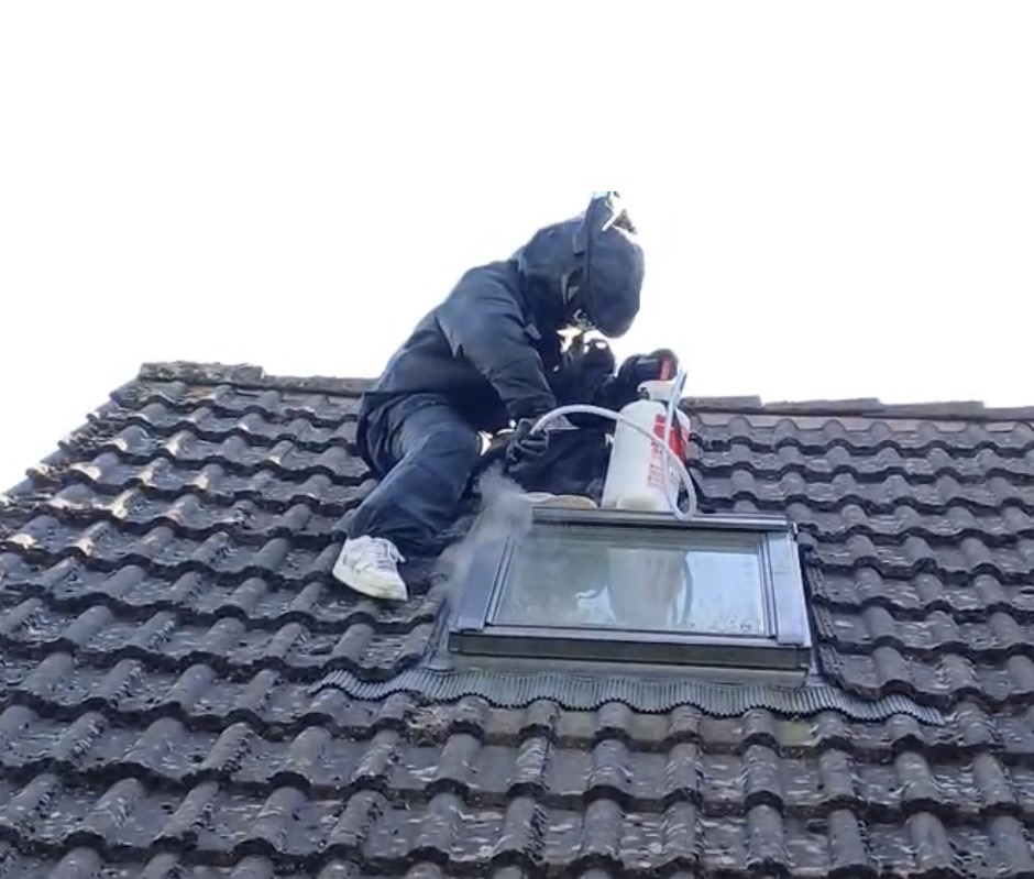 Intervention frelons Meaux