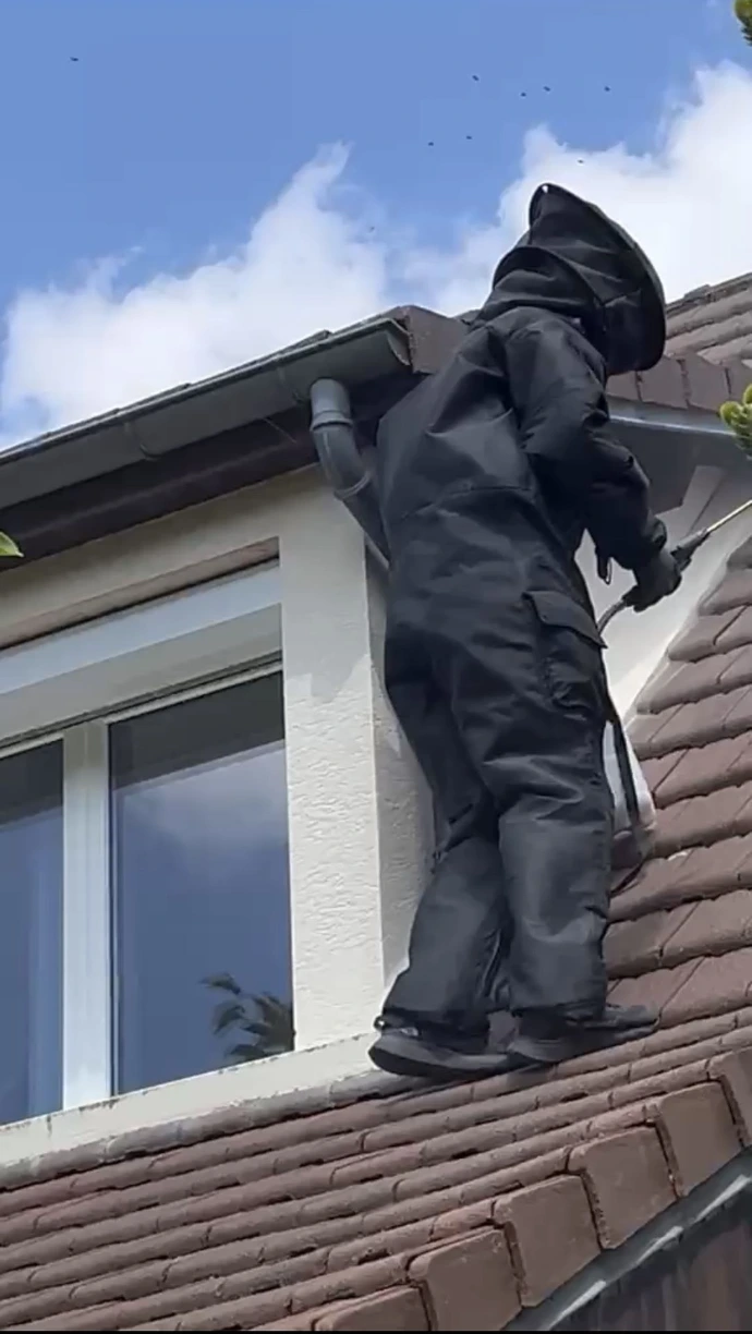 destruction d'un nid de frelons sur le toit d'un particulier à Chessy 77