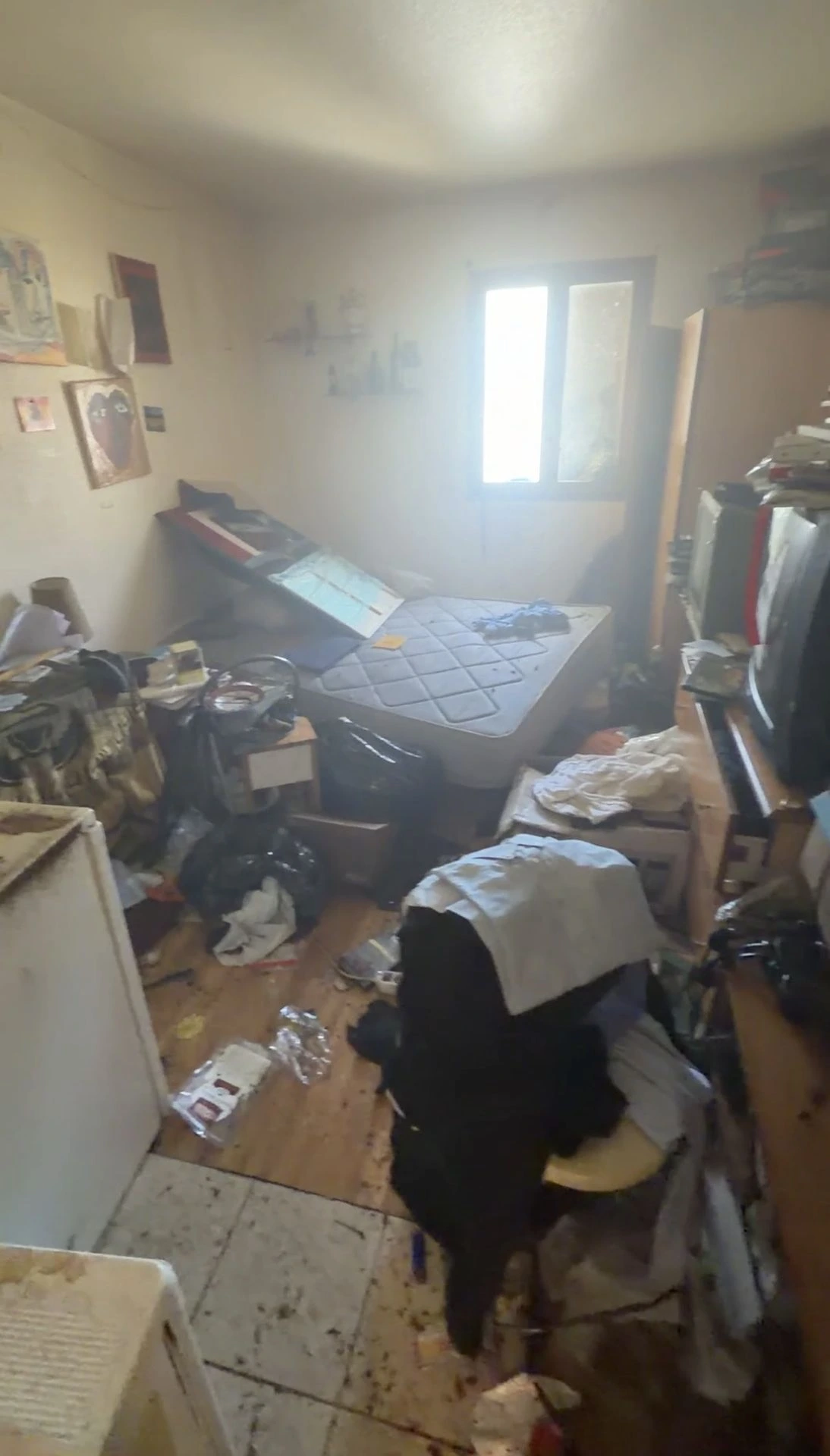 infestation de cafard dans un appartement locataire en situation de diogene