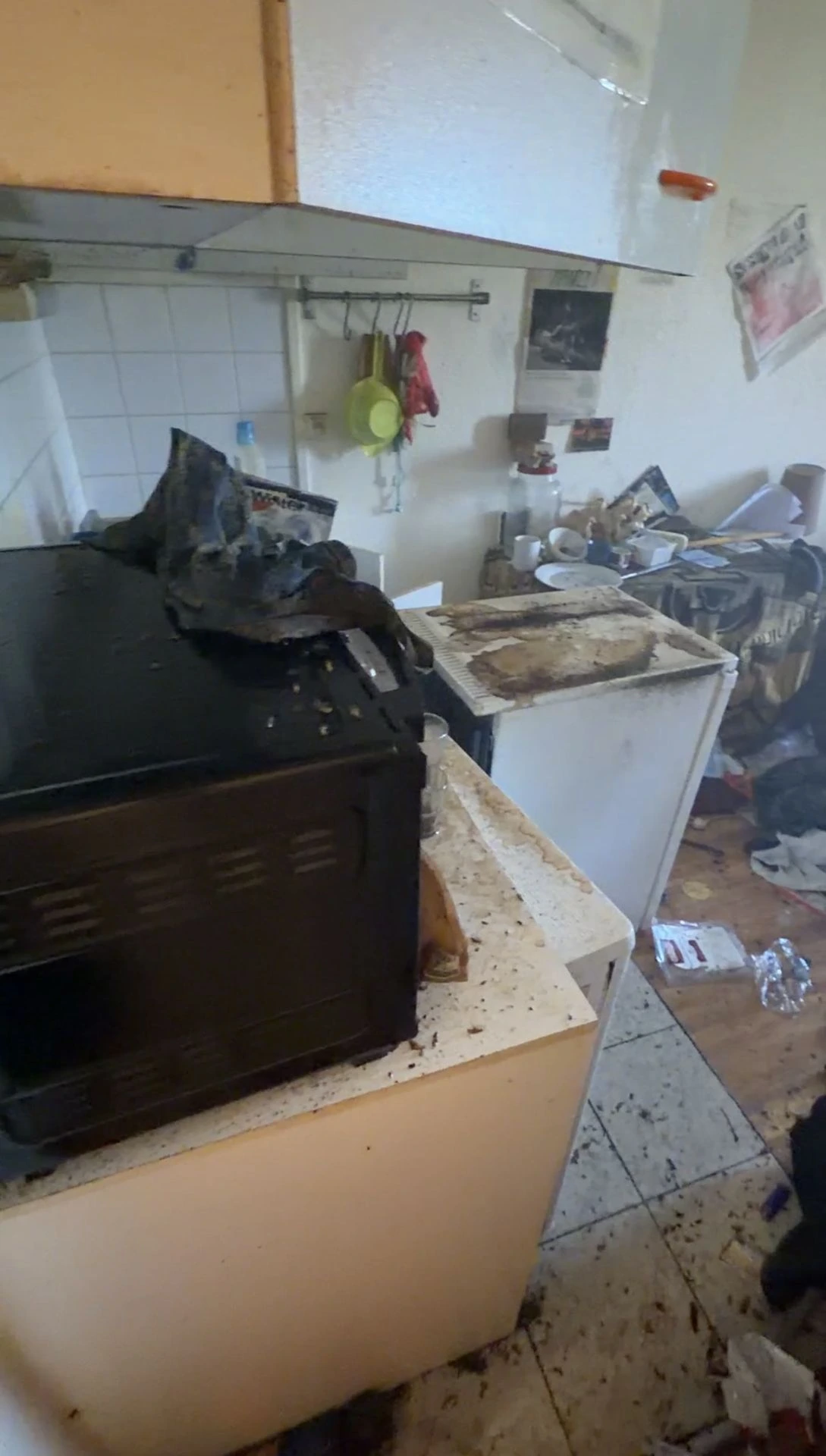 cuisine infestation de cafard dans un appartement locataire en situation de diogene
