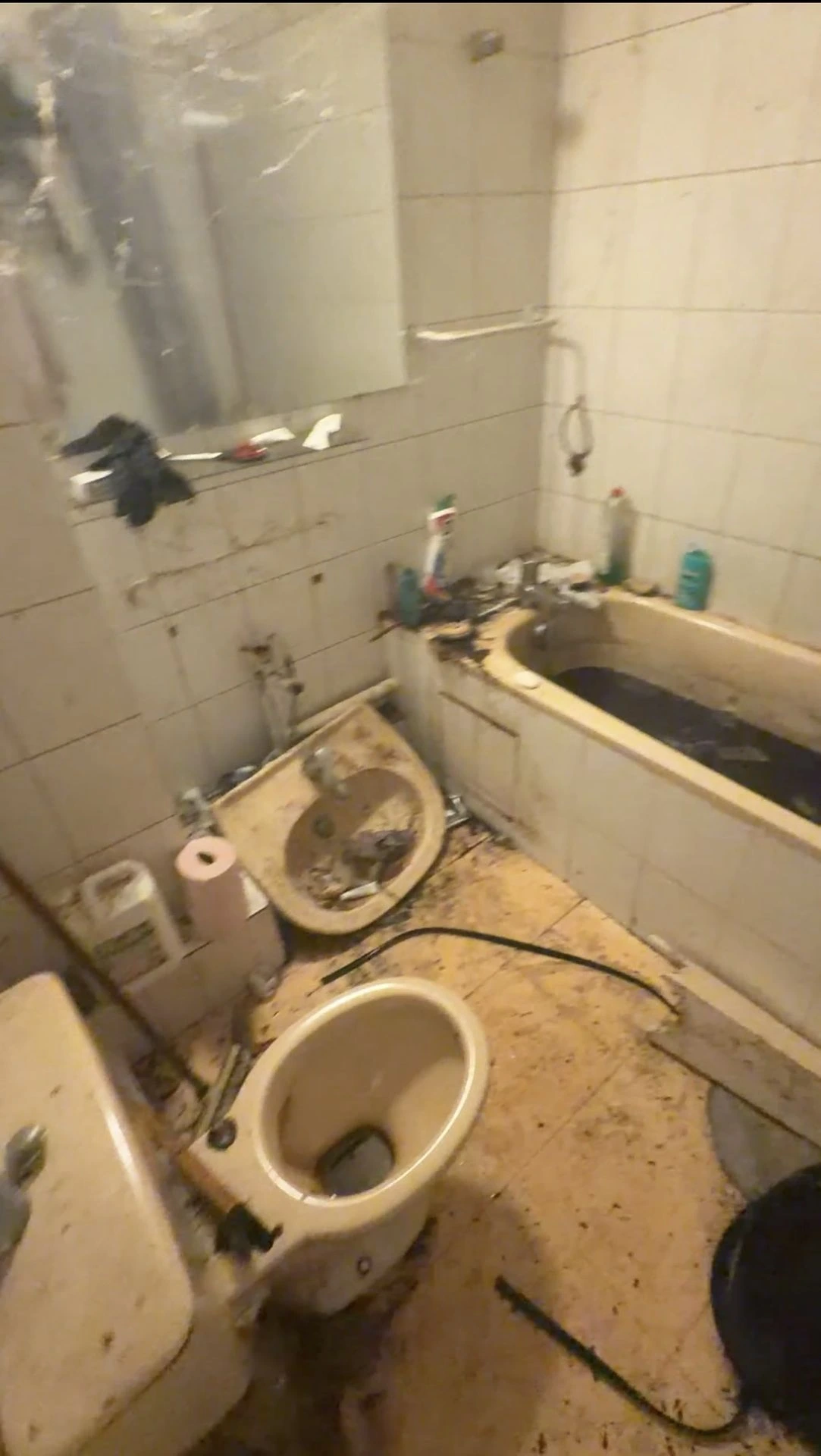 salle de bain. infestation de cafard dans un appartement locataire en situation de diogene