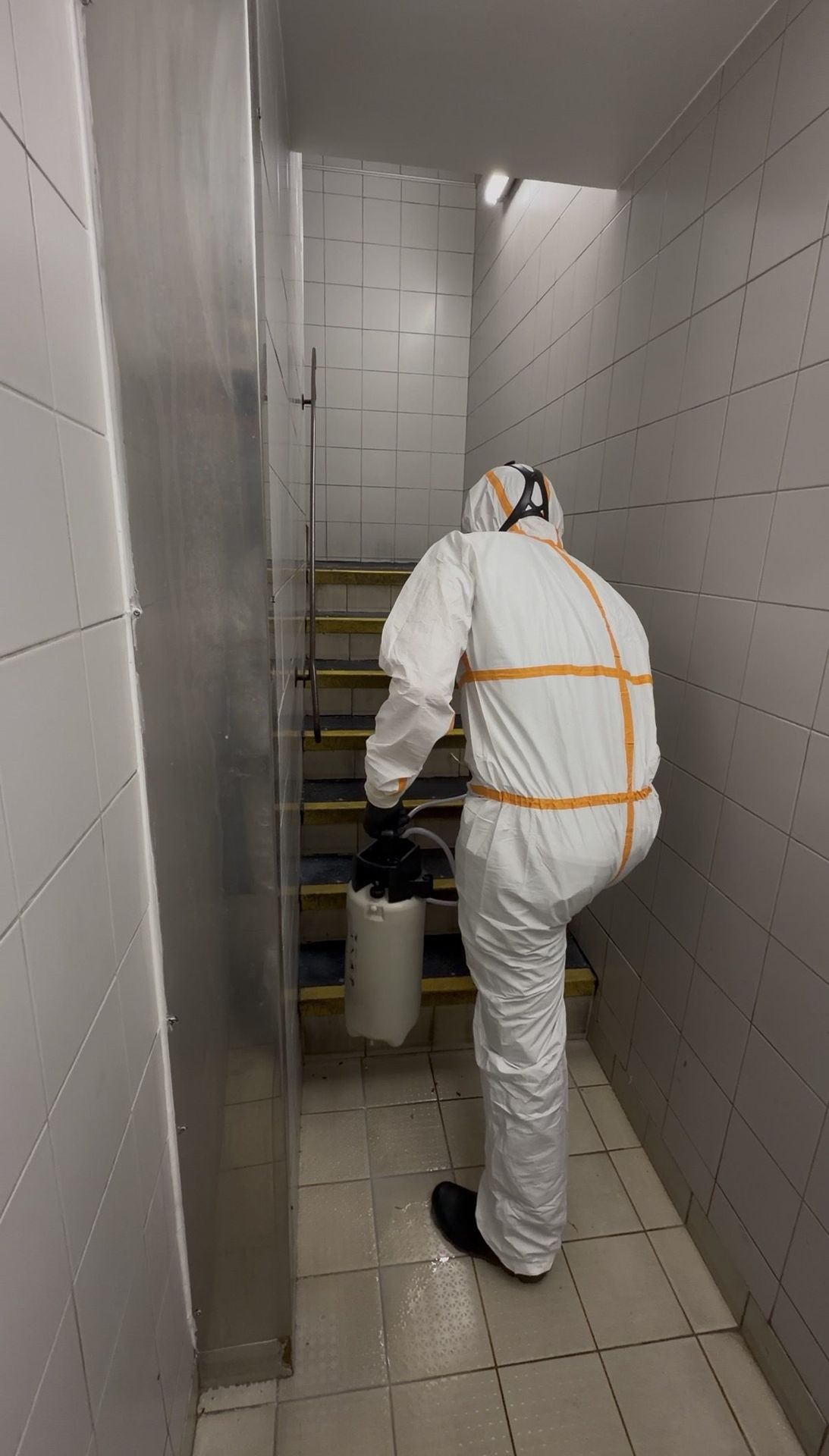 Pulvérisation insecticide contre les cafards en cuisine professionnelle à Bussy-Saint-Georges, Nettox