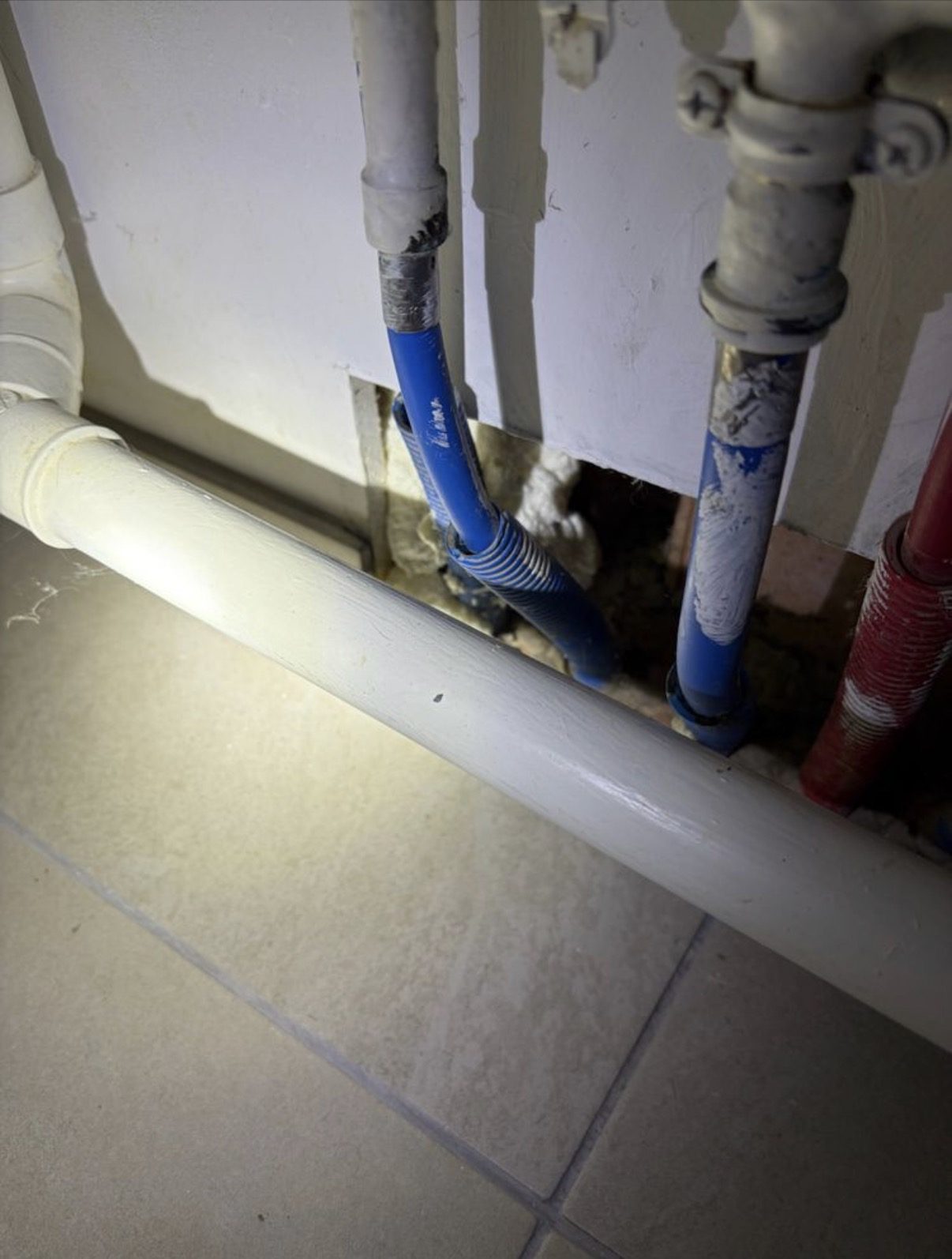 Excréments de souris dans un logement près de Coulommiers, diagnostic Nettox
