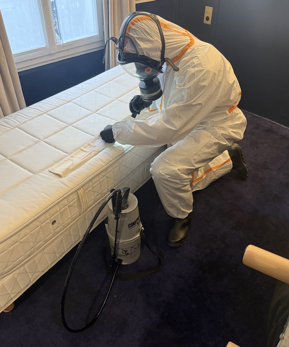 Techicien nettox entrain de expertiser des punaises de lit dans une chambre d&amp;#39;hotel à Bussy saint georges