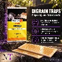 digrain-traps-plaques-engluees-2.webp