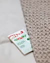 p-04179-bed-bugs-trap-in-campo-2.webp