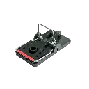 R3224-1 (1).webp