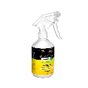 I8707.webp