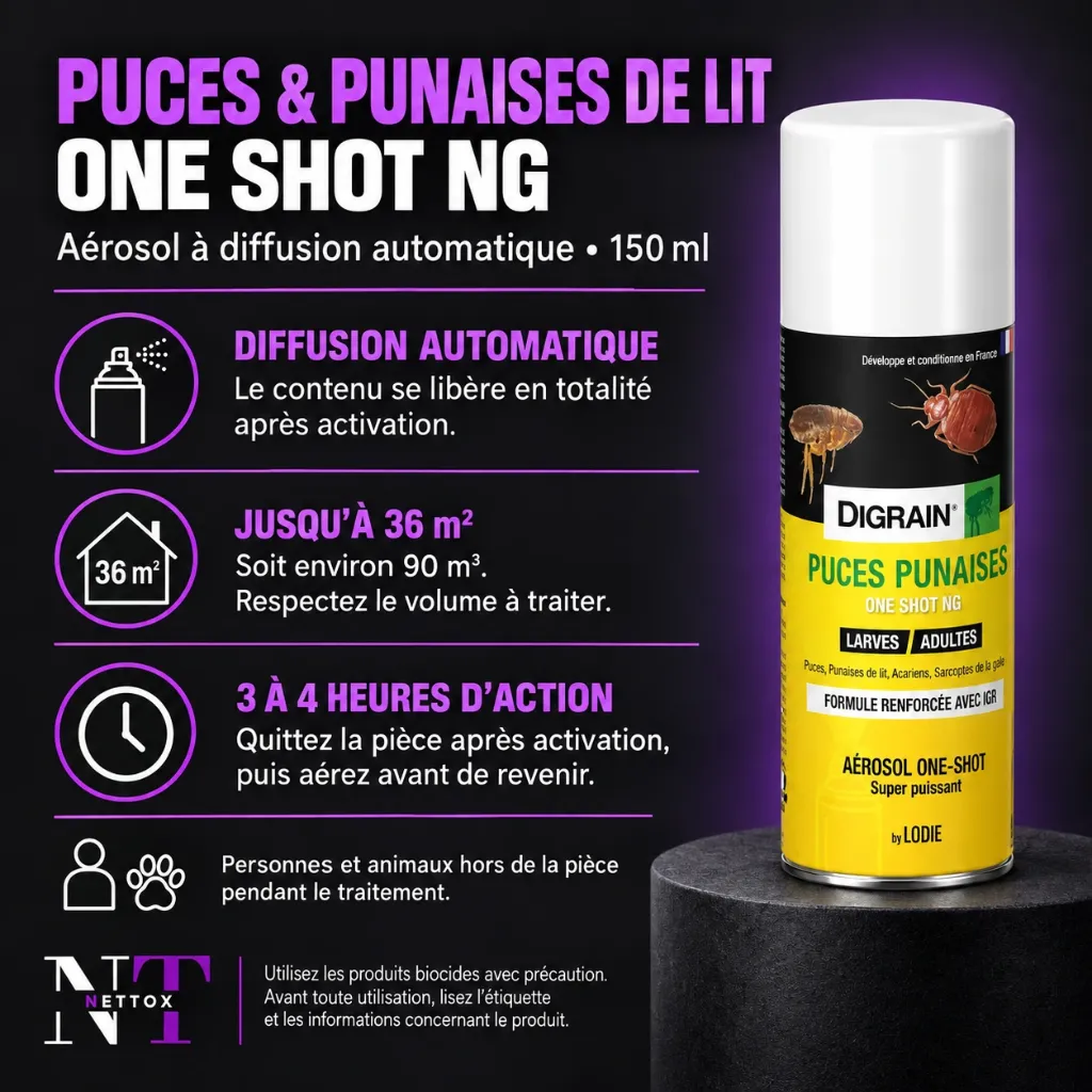 digrain-puces-punaises-one-shot-2.webp